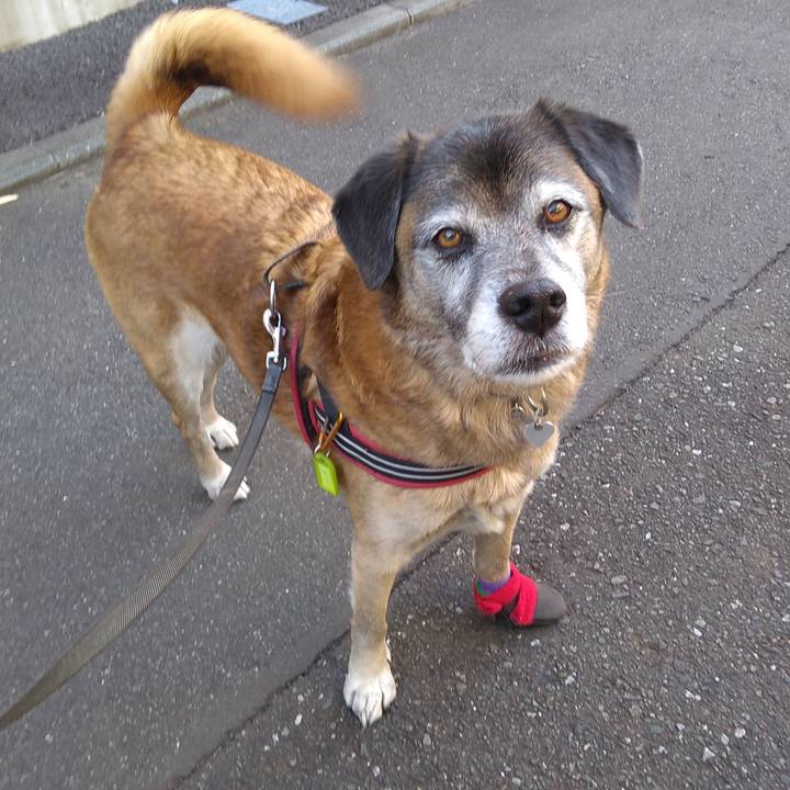 101a5e7c 22c8 4b34 b5ed cc98f64d7f4c 1547080796651