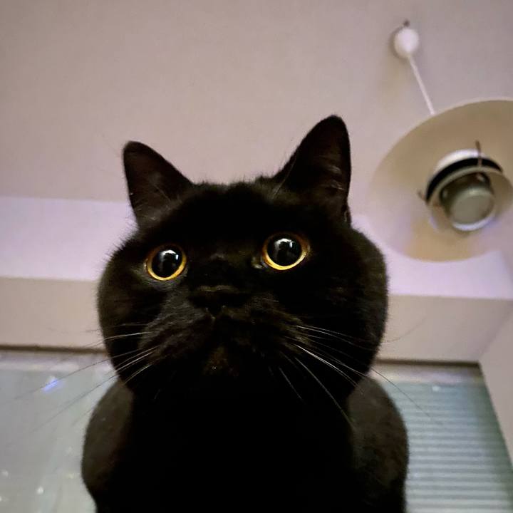 101a9c85 d6ad 435b 9d7a ee0c2ed41cc0 1676642151129