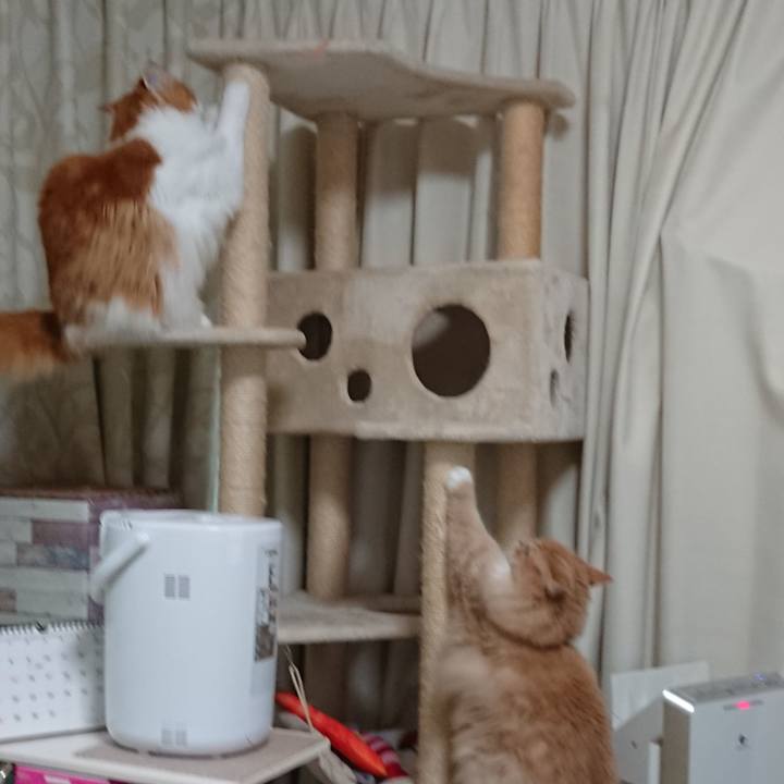 101ae1b9 37d8 4f97 8e98 1a6331e946b7 1565760170355