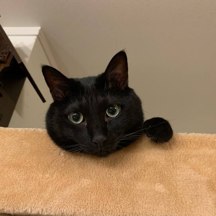 101b519d 2491 4a6d a821 cad0883e9a95 1728573042641