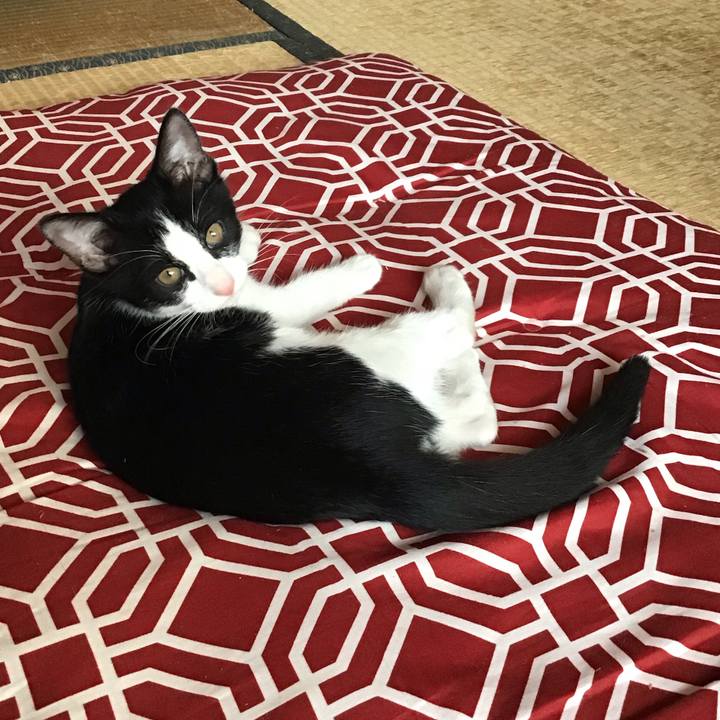 101baab9 e690 4d77 8500 c6ab894fc8ef 1627177215262