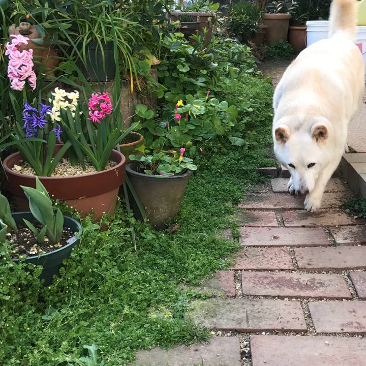 101c0228 359f 4c26 8065 b5f64b5d983d 1552805478820