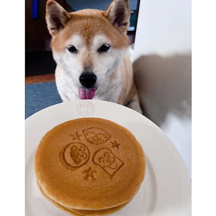 101c2739 7b37 4654 a33c 8912c59e646d 1722752285608