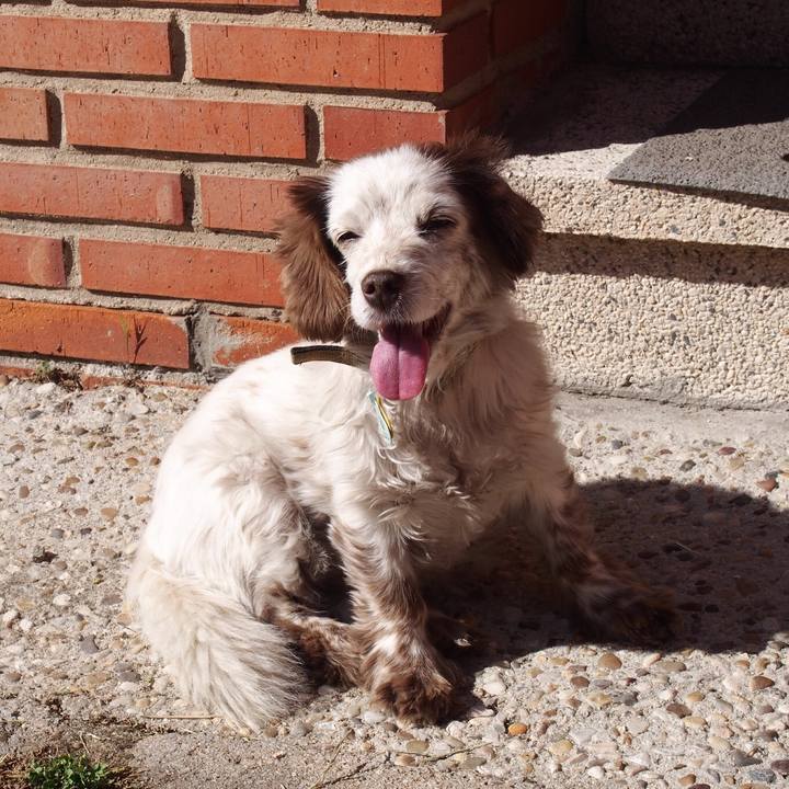 101c3150 0e09 4287 8bb8 9cbb404b235b 1526486589638