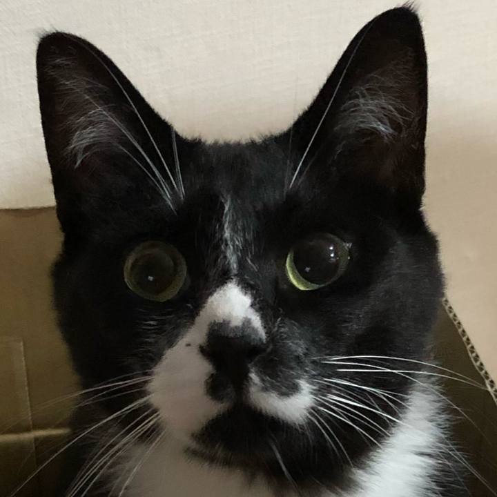 101c3b84 f934 4282 b578 117ad3c5b1d0 1596858951360