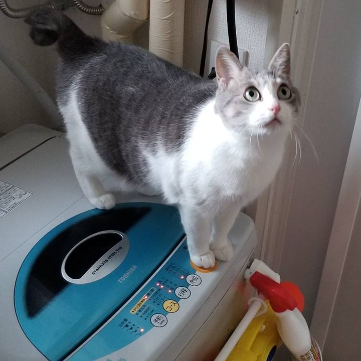 101c3f82 e718 4289 bf7a 2ea89c79b87e 1549583828028