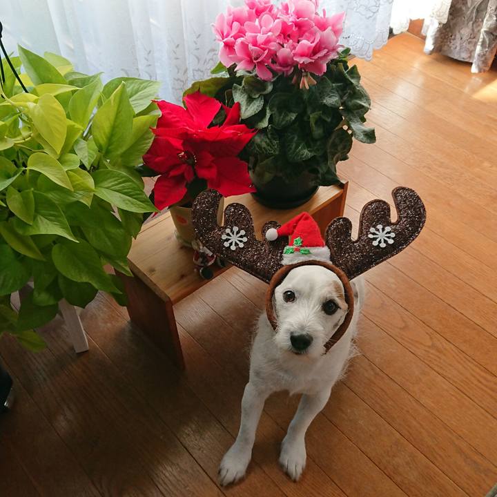 101c781f 7623 4140 b2b6 4366034459f9 1545693256433