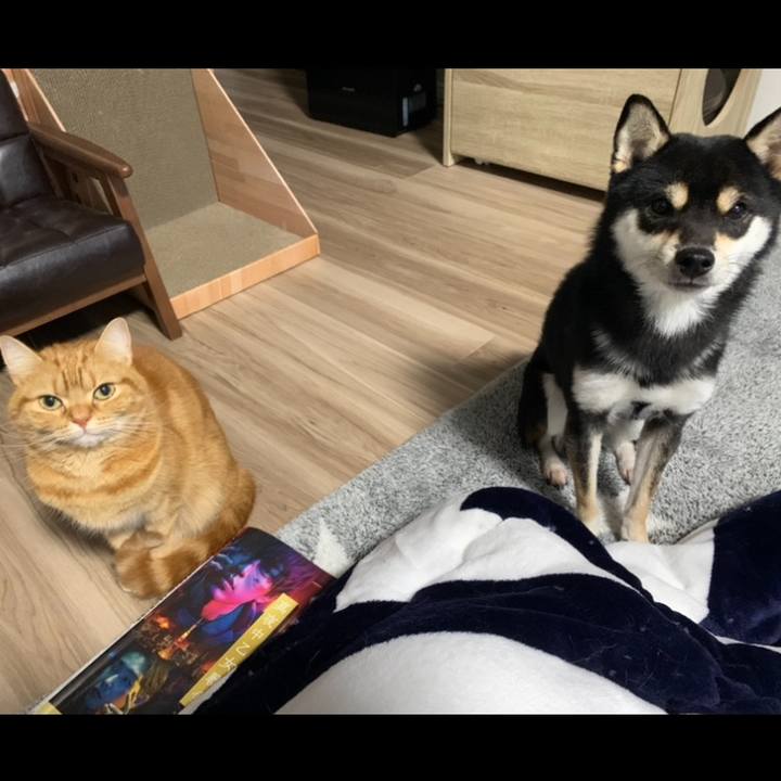 101c8d49 ee8d 445d 8842 39a1a8b827f0 1640920615789