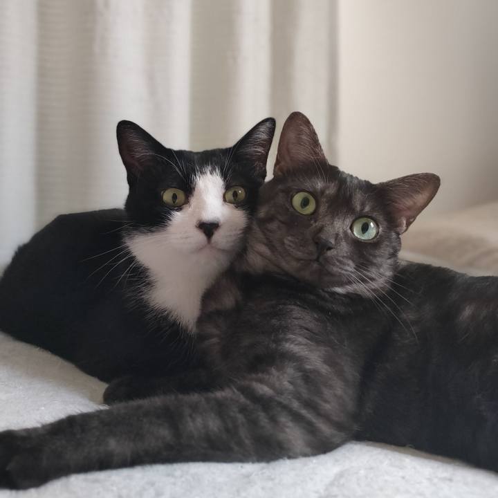 101c9355 1ca7 4488 ba27 48b609130900 1758506217989