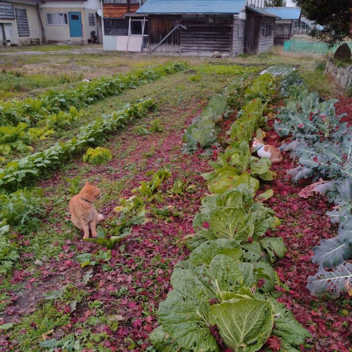 101cbc83 23c0 42a4 b15f 6e32a6760d2a 1732606121513