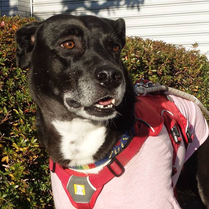 101ce145 4fad 49d0 af74 179ff3cf2f0b 1671847140836