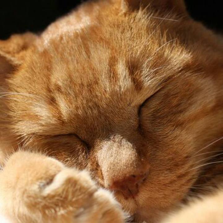 101ce998 0fb4 4547 bc7a 4d4cd7345ea3 1543300958168