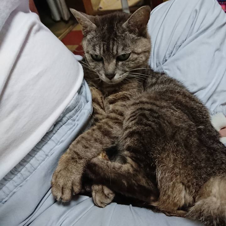 101d1da3 4b24 47bd b82e adbb871428ad 1562239163476