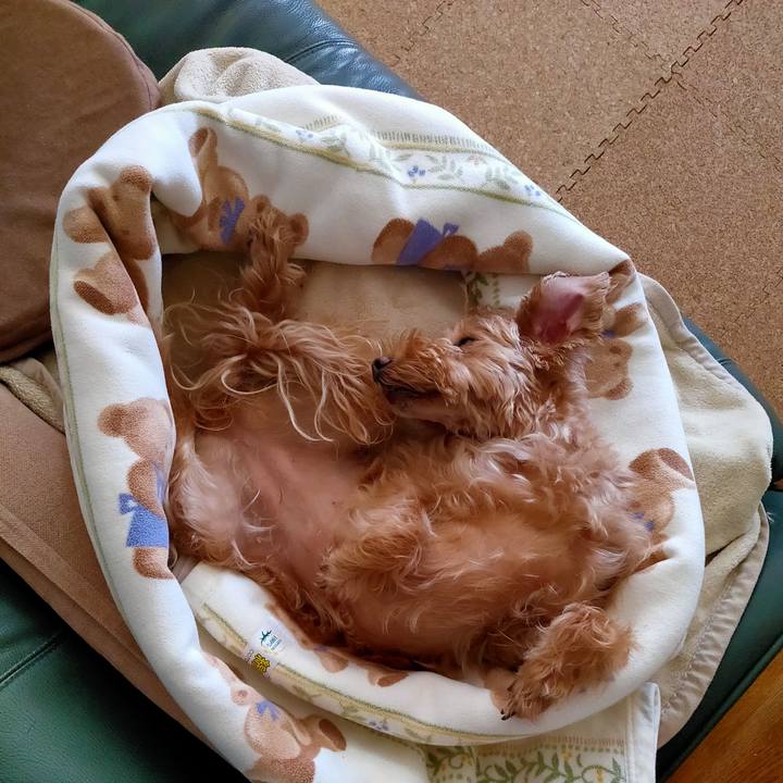 101d252c 03c5 45db b53b 092a3f251676 1580007594148