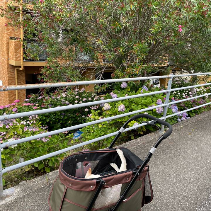 101d3258 696c 44f3 a5ab cb2672654b27 1654688387981