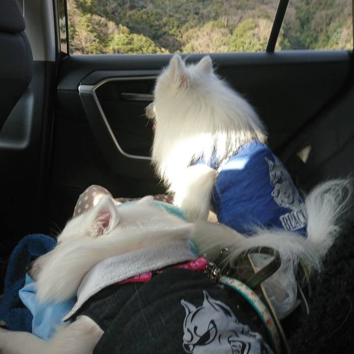 101d8ba3 3f73 406f af7a db2033875ca1 1577512719884