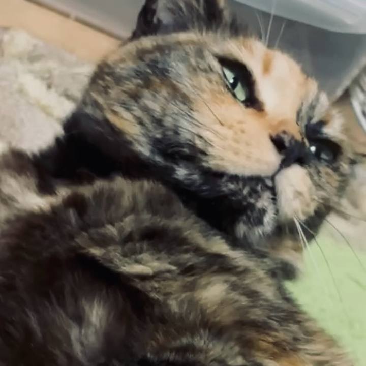 101d99ae ebc7 41a7 9f60 d83aca8f80d6 1744310824186