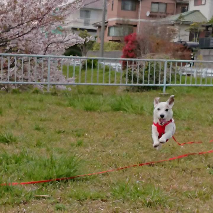 101daa99 c26d 4a5b a438 02f40f791a89 1555111132855