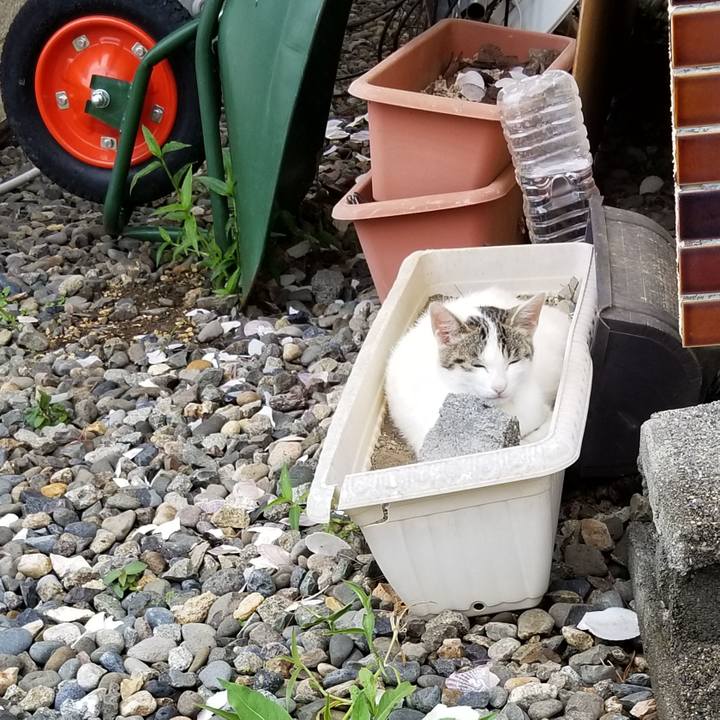 101dc4ed 8b0f 4e30 9374 7cb21010b656 1562298733580