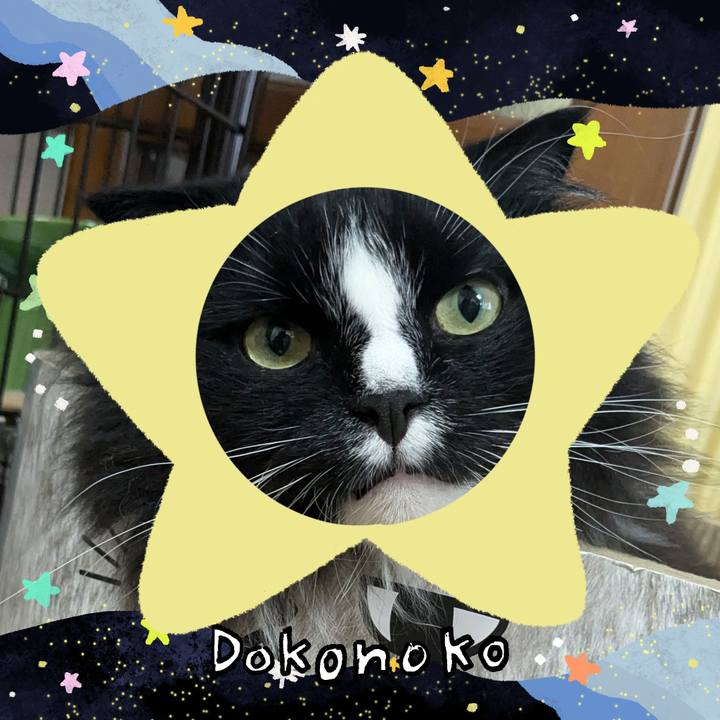 101e0e2e f58a 4231 9ef0 d480569eaa9f 1720825014662