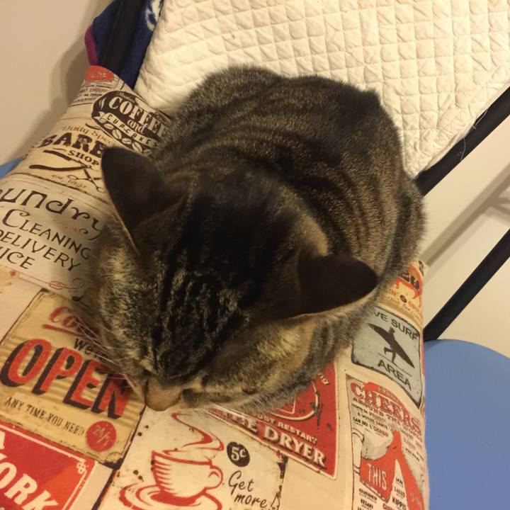 101e37a0 8f8b 44aa 9889 499e28b5cd2b 1552732027988