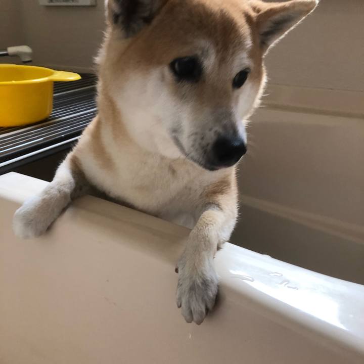 101e44ee 31f5 4d5d 94b1 2c8f331f48b9 1560857964196