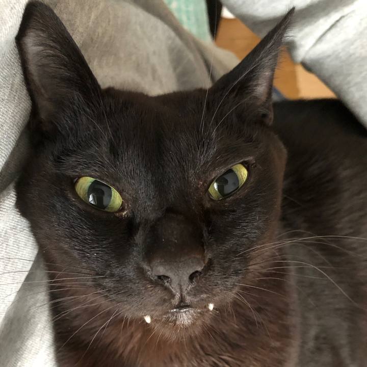 101e550e 7009 4e71 b279 451b3af9ac20 1741988119140