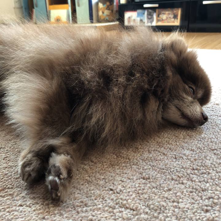 101e69a6 7472 4e49 9748 1604e76d6867 1615345038491