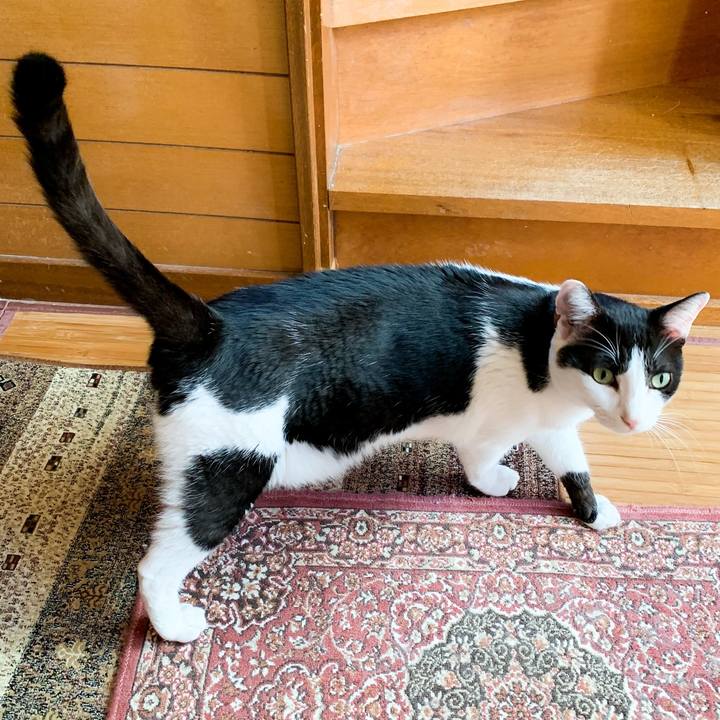 101e91f1 33f7 4a29 afa3 a99f4cc3fde6 1571623103821