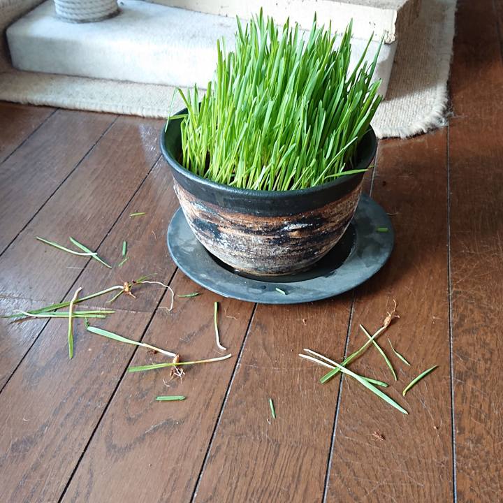 101e9771 0858 45ea 846d ca8e7dcbcca2 1567381756737