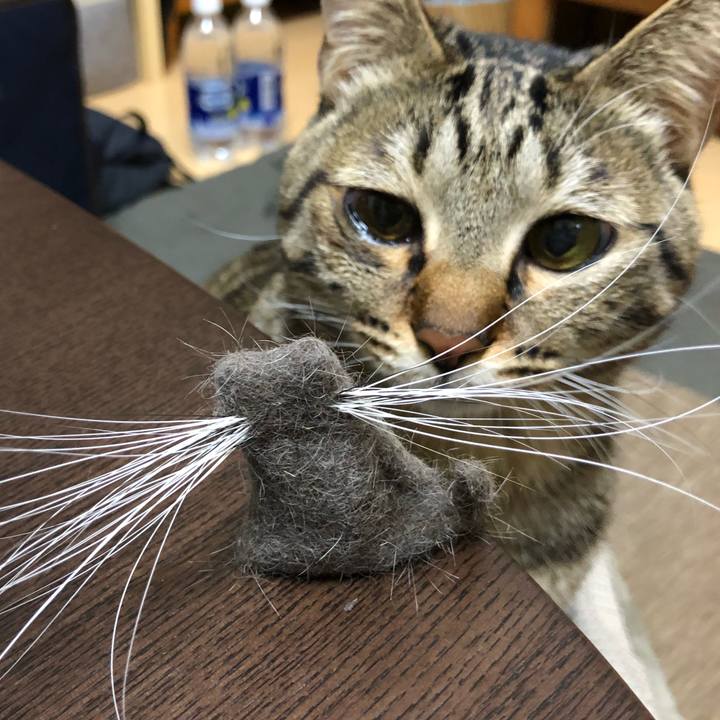 101ec65b fa2b 4544 bf01 b1e4c5c5cb86 1517488957267