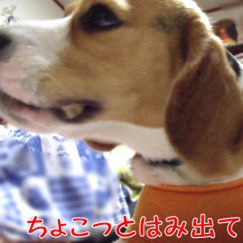 101f057b a567 4f84 b141 513fa6c45dde 1710891790267