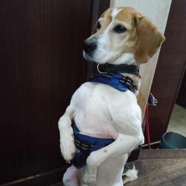 101f52f0 2f1e 4258 b7b7 03a17bb16202 1746273211388