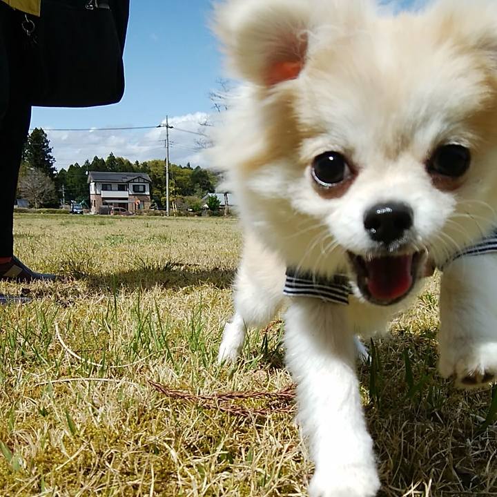 101f5a28 2186 45f7 a3fa e46d6bf0e35d 1619924048858