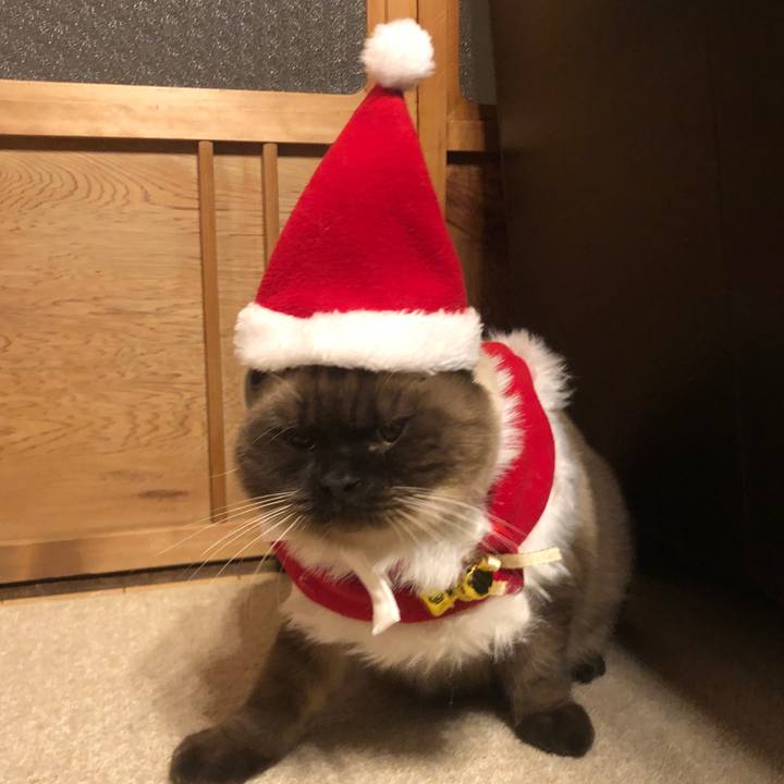 101f644c a5f5 4e2c afb4 46c881b677f9 1608899602498