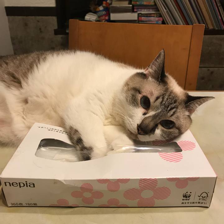 101f8489 85c5 479a 97d6 f3ce7c5721b3 1533382760775