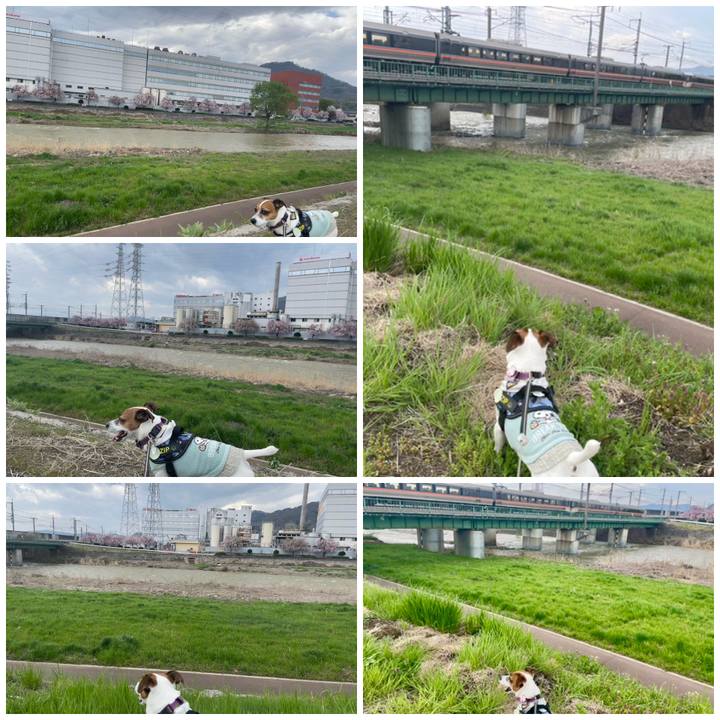 101f879a 9df9 45dc 8233 0bf7d0d45f04 1745278359407