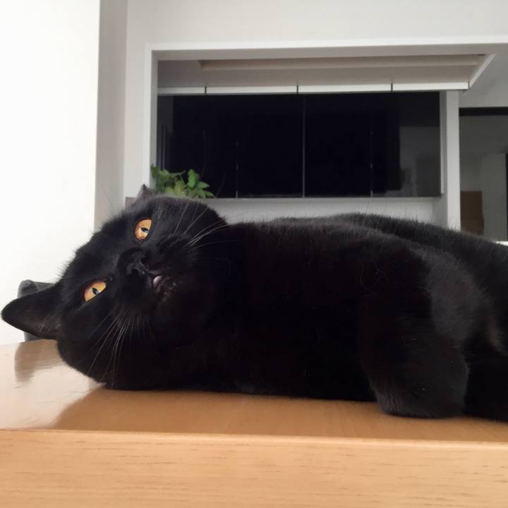 101f8d5d d26e 4cb8 8113 6c96c555741e 1566373153564