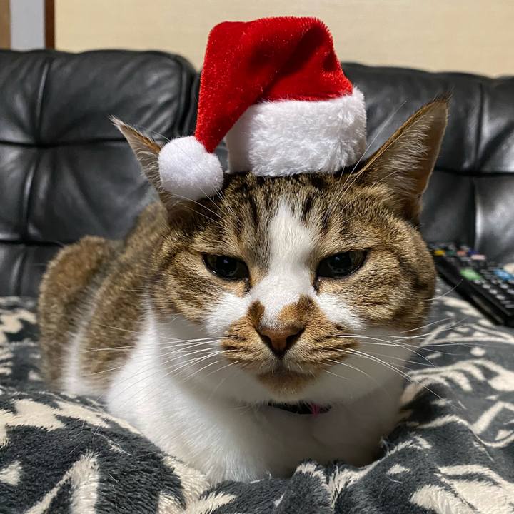 101fa3e7 4013 46b4 acfd b6a20a89e1b0 1640350315948