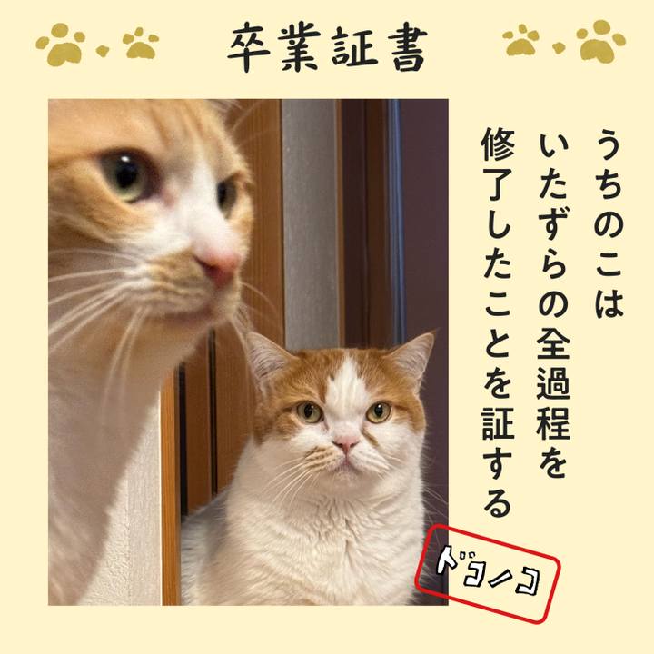 101fc8f3 4232 426f baaf 74df168962a6 1771878740848