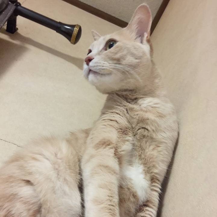 101fd24d 0661 45cf b7b8 39a4f3855044 1512729935265