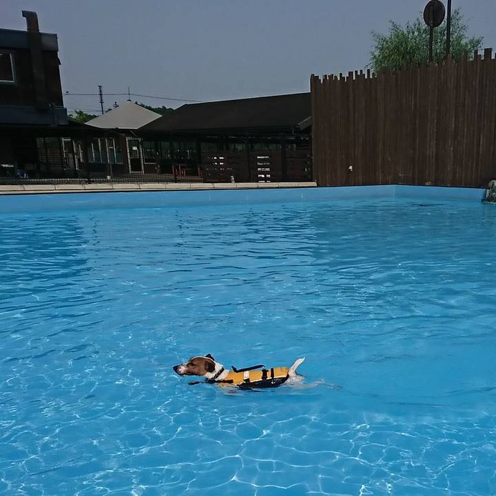 102007ae 0064 47ff 8097 843d1bc1ac59 1531902832034