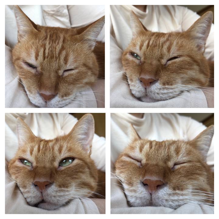 1020097d 1d76 4004 88e5 49e1517c9f7e 1697248793607