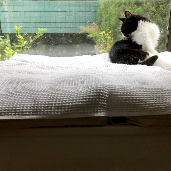 10203520 0d0c 418b 9f8c 0fa7c4a6c8f1 1558252714056