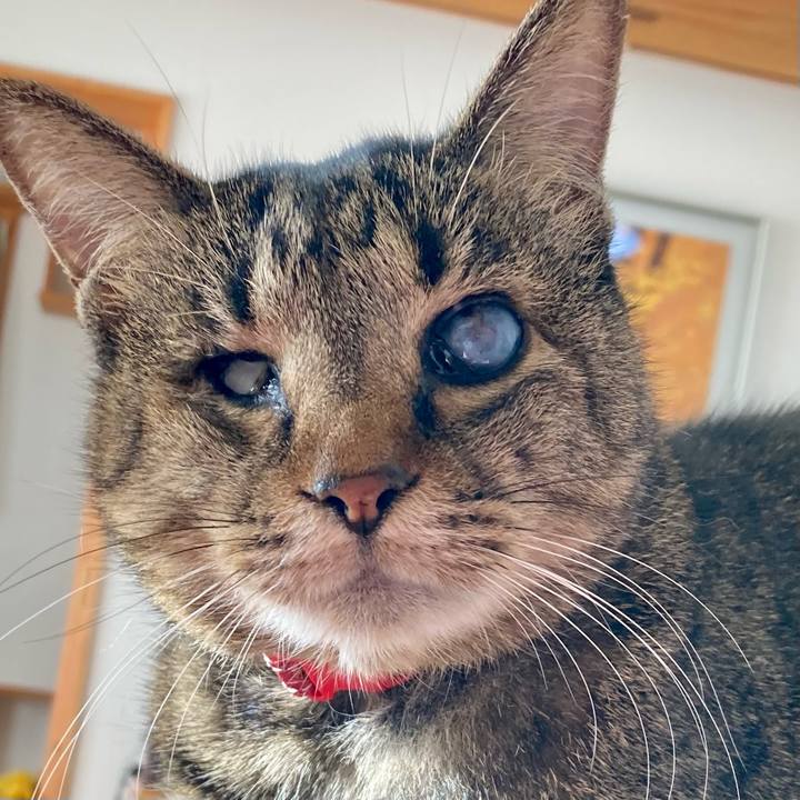 1020618f 00f4 4528 a55b 0e40be2d9163 1638870097435