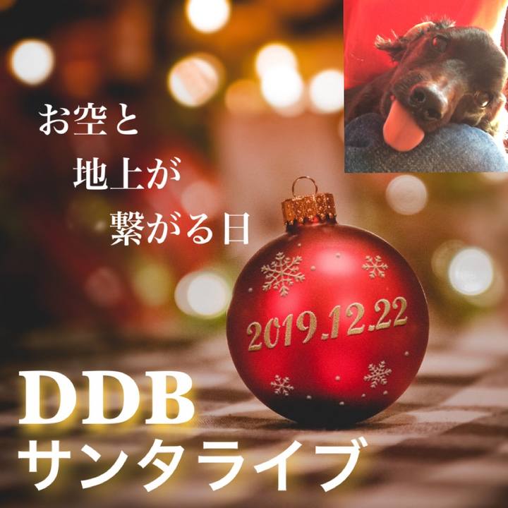 10206515 8c52 4167 b076 e301c65d24b3 1576850451027