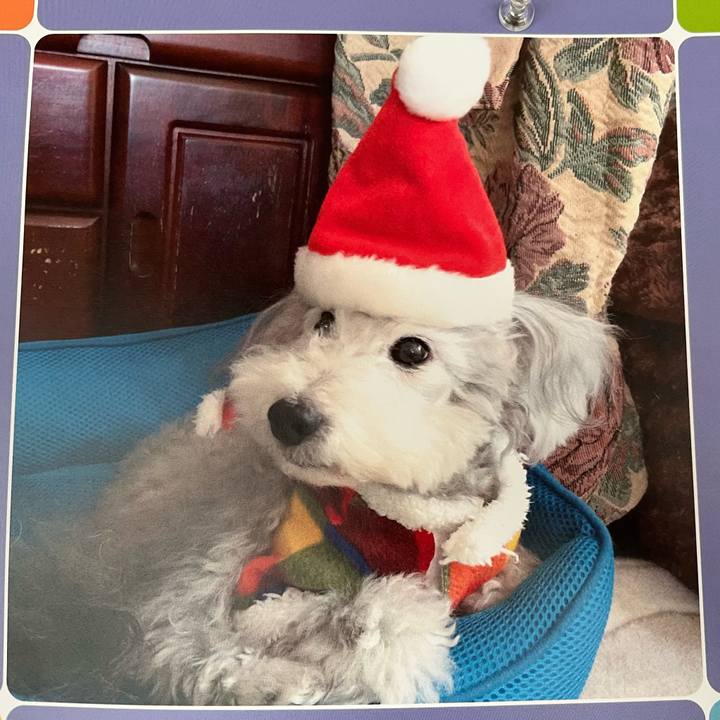 1020aace c43e 4356 92b8 f96baec9b74f 1734047936047