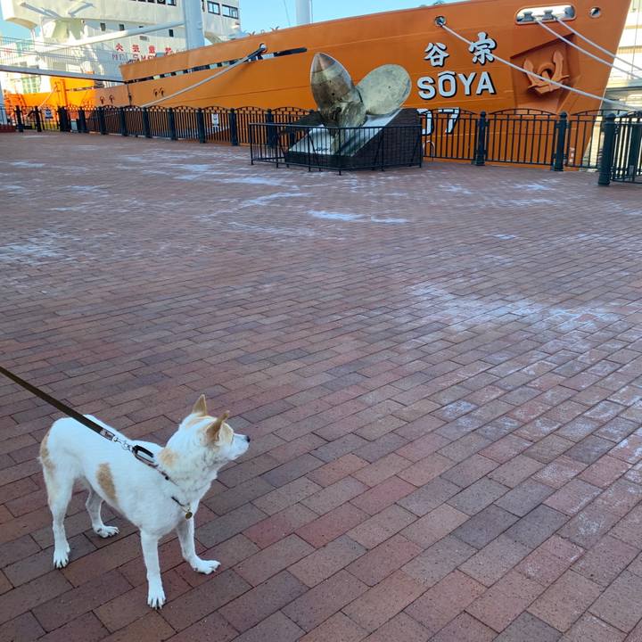 1020ef63 d722 4b5c aa4e ec5511c01f2a 1643242154845