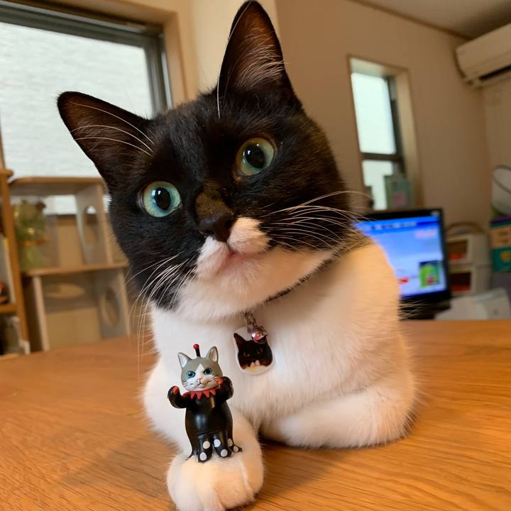 102105d5 0299 45ae 9170 3489f7207814 1566046937001