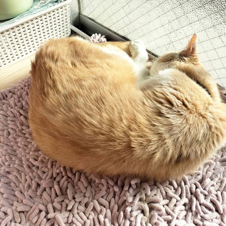 10212094 f77f 4a8b b74e 560194c9dd0d 1678835915289